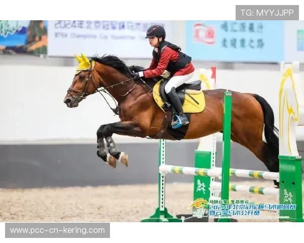 西班牙马术界引入虚拟现实技术，提升马术训练效果。，马术西班牙古典舞步