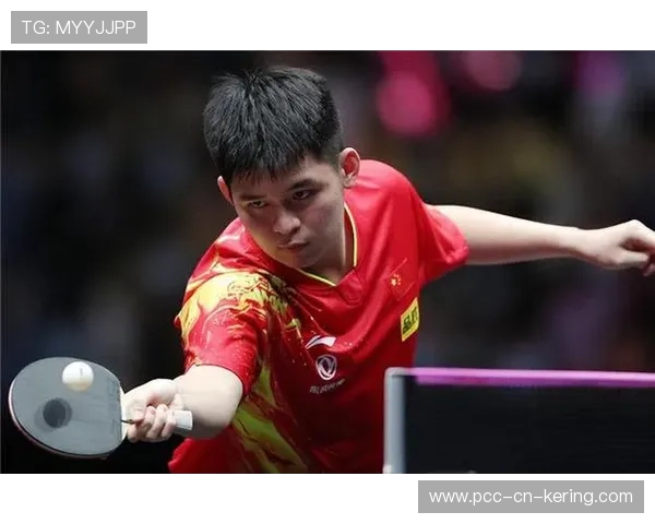 2026 WTT 澳门站门票价格调查：为什么顶级乒乓球赛票价比网球还贵？